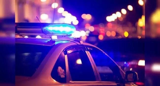 Жамбылдық полицейлер жалған құжатпен жүрген  автокөлік иелерін анықтады