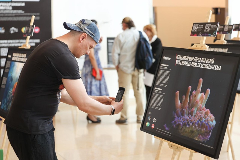 Су астында және құрлықта: Алматыда маржандар мен сирек жануарлар туралы фотокөрме ашылды